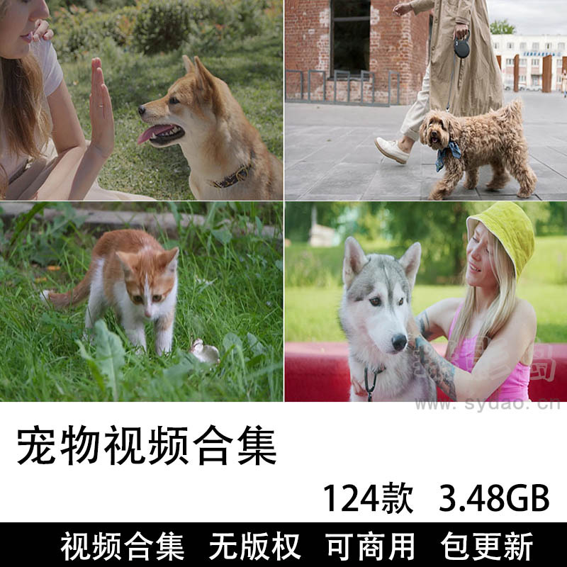 173款可商用猫狗视频合集素材下载，高清画质横竖屏家庭萌宠宠物剪辑原片无版权视频素材