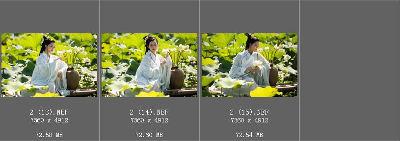 美女古装汉服荷花池写真raw未修原片，尼康单反相机NEF格式修图练习素材