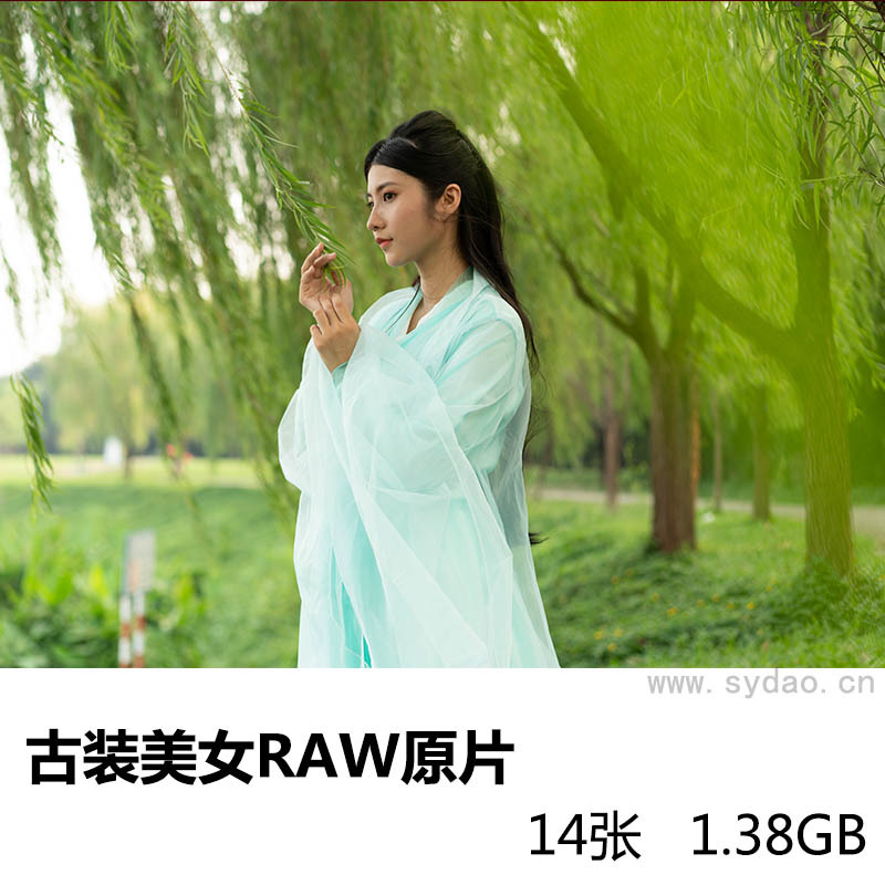14张青衣汉服古装美女竹林写真raw未修原片原图，索尼SONY相机ARW格式摄影后期修图练习素材