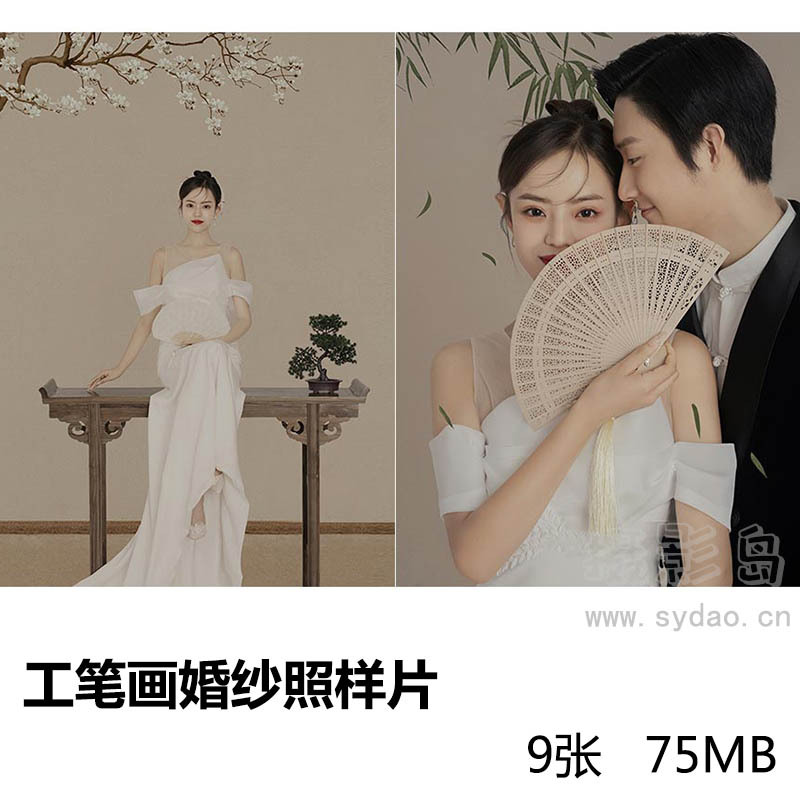 9张影楼工笔画婚纱照样片，照相馆工作室样照图片素材