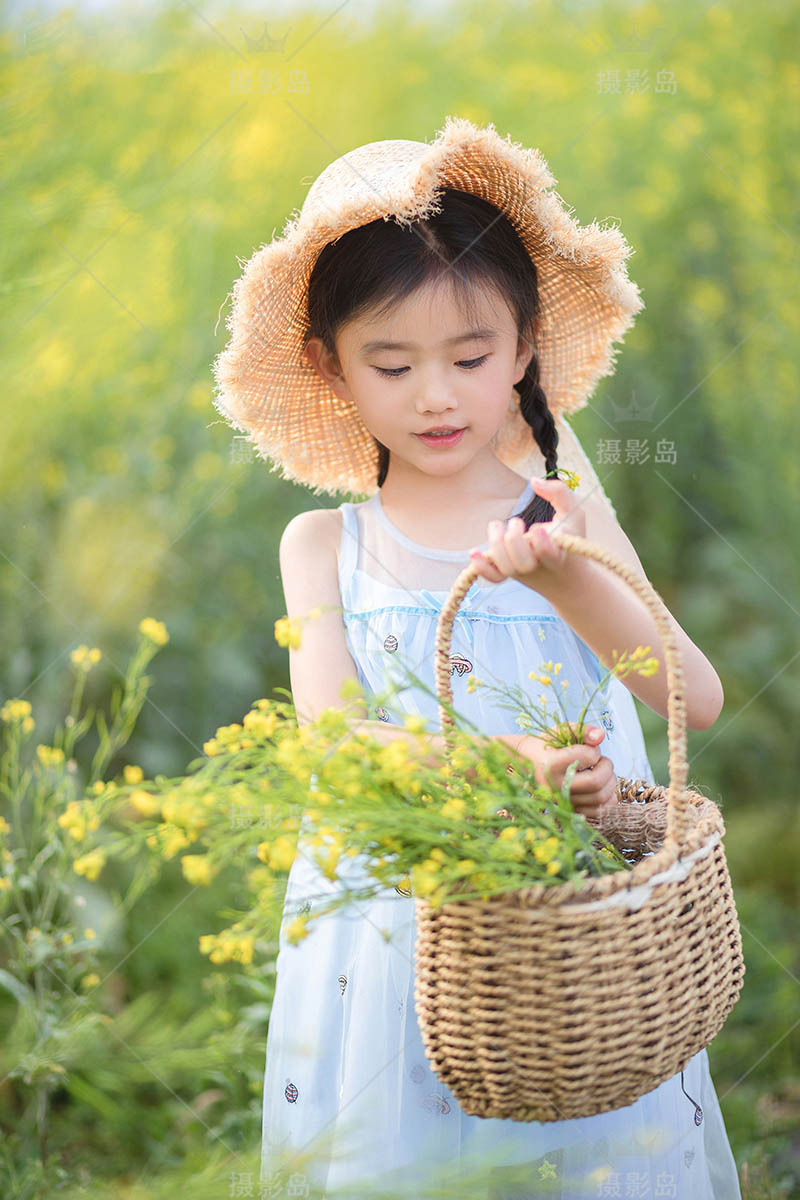 影楼户外油菜花女童儿童写真样片，摄影工作室样照图片素材