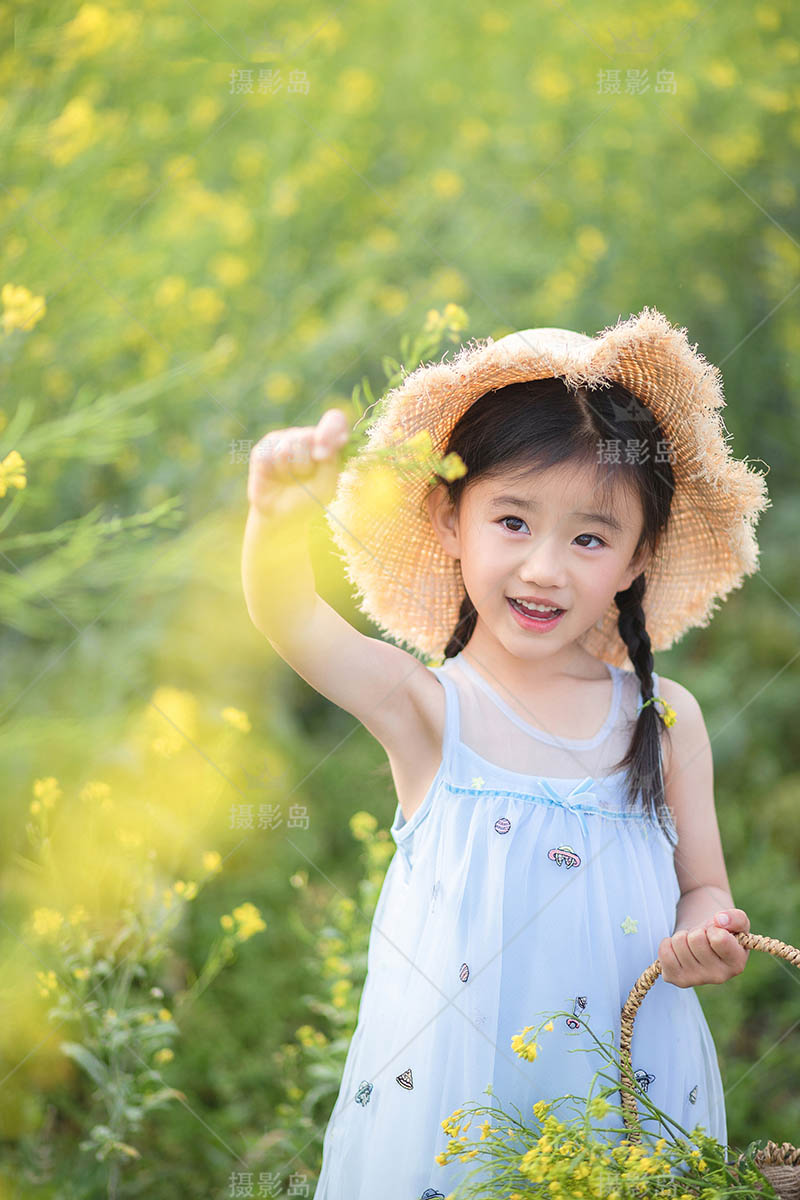 影楼户外油菜花女童儿童写真样片，摄影工作室样照图片素材