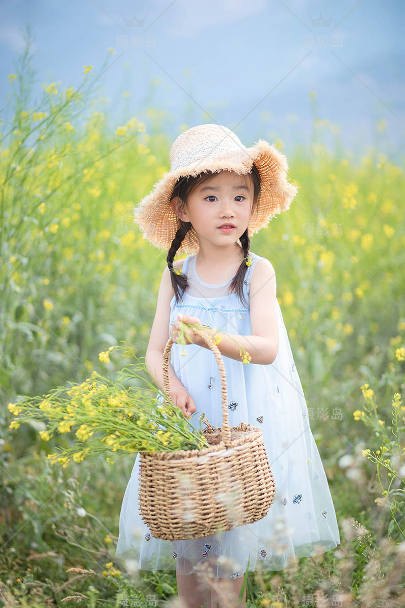 影楼户外油菜花女童儿童写真样片，摄影工作室样照图片素材