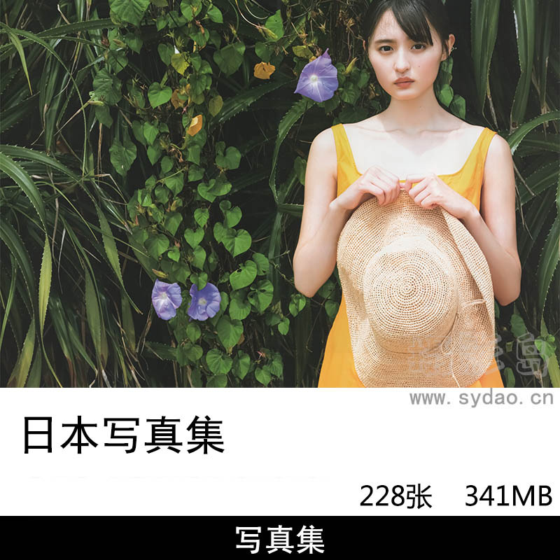 【多人合集】228张日本写真偶像明星歌手演员模特清纯少女胶片写真集