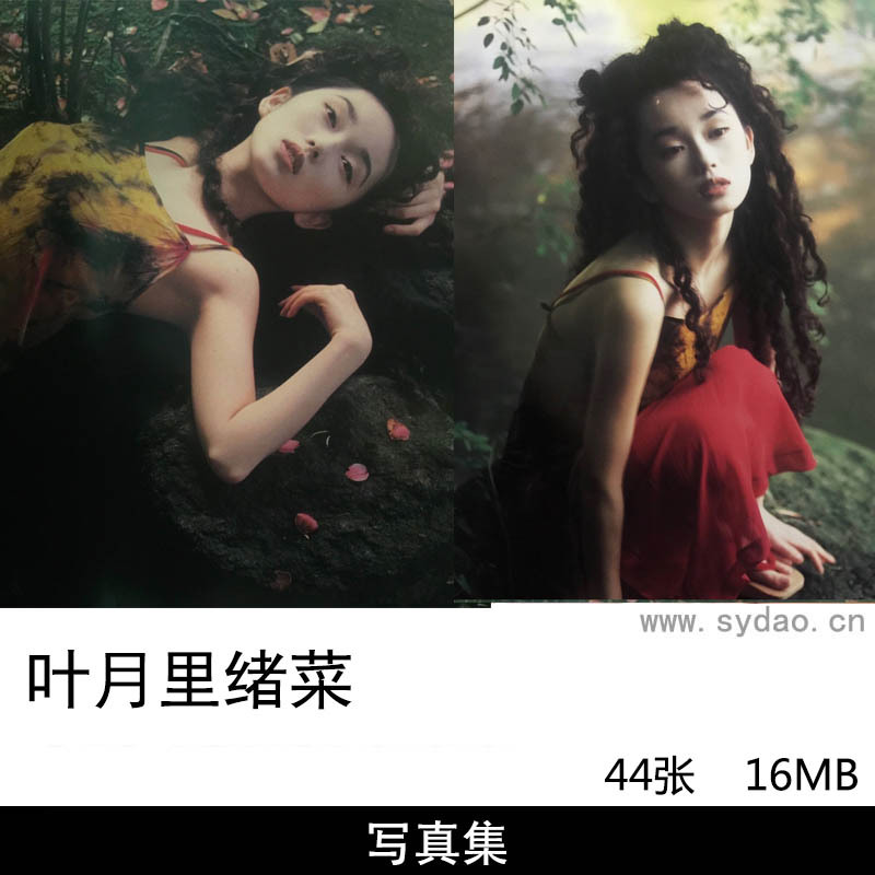 44张日本明星叶月里绪菜1993年写真集