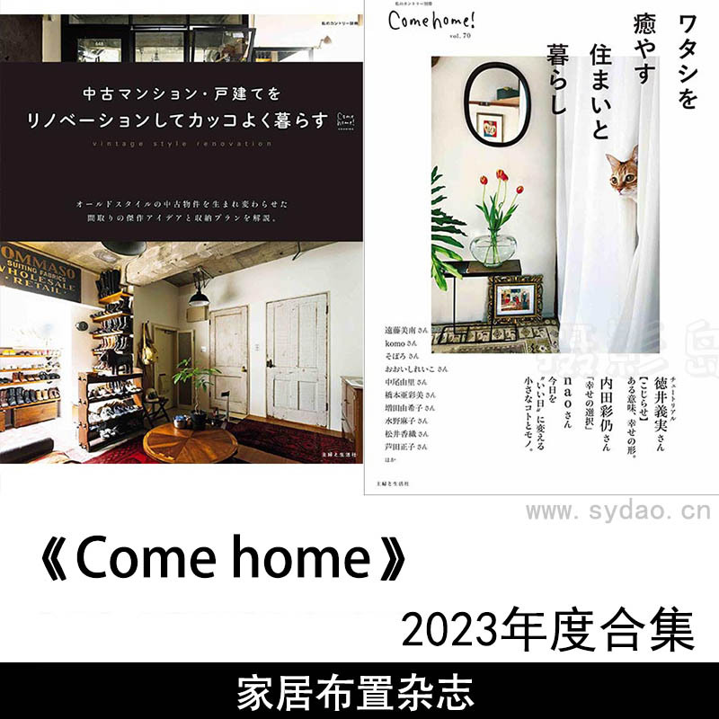 2023年度日本人气家居布置收纳生活杂志《Come Home!》特别编集·装修中古公寓