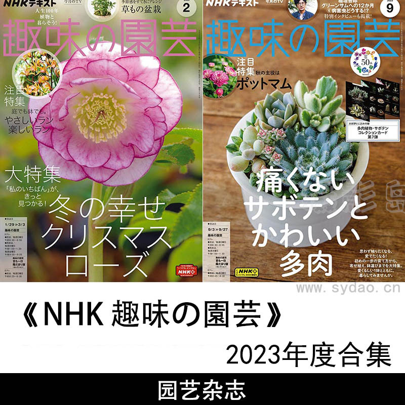 2023年度日本花卉绿色植物园艺爱好日文杂志《NHK(趣味の园芸)》全年合集
