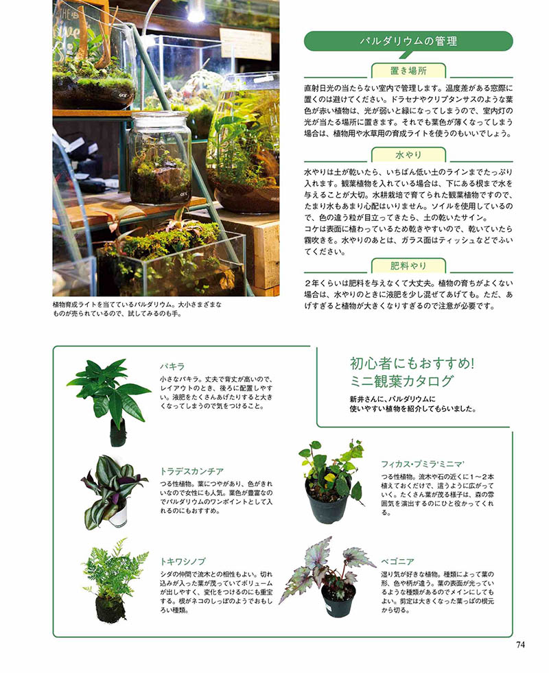 2023年度日本日文园艺花卉种植杂志《園芸指南》