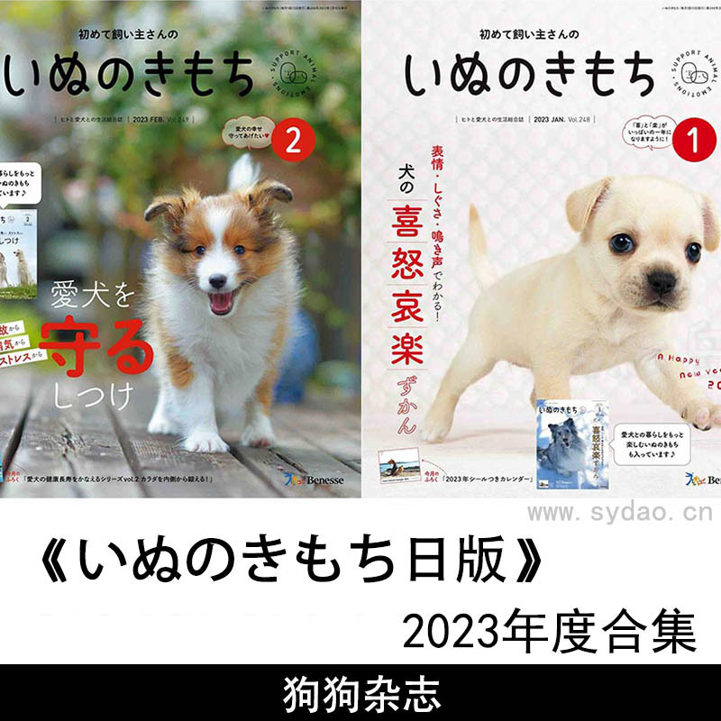 2023年度日本宠物狗狗护理调教杂志《いぬのきもち》合集