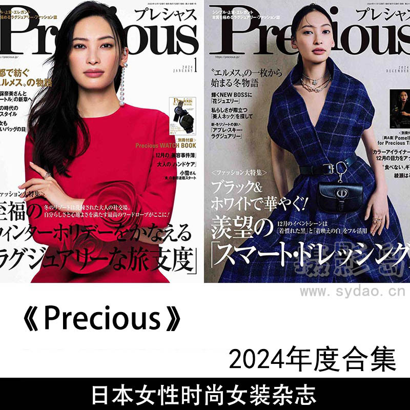 2024年度日本现代都市女性时尚女装杂志《Precious》(メンズプレシャス)全年合集