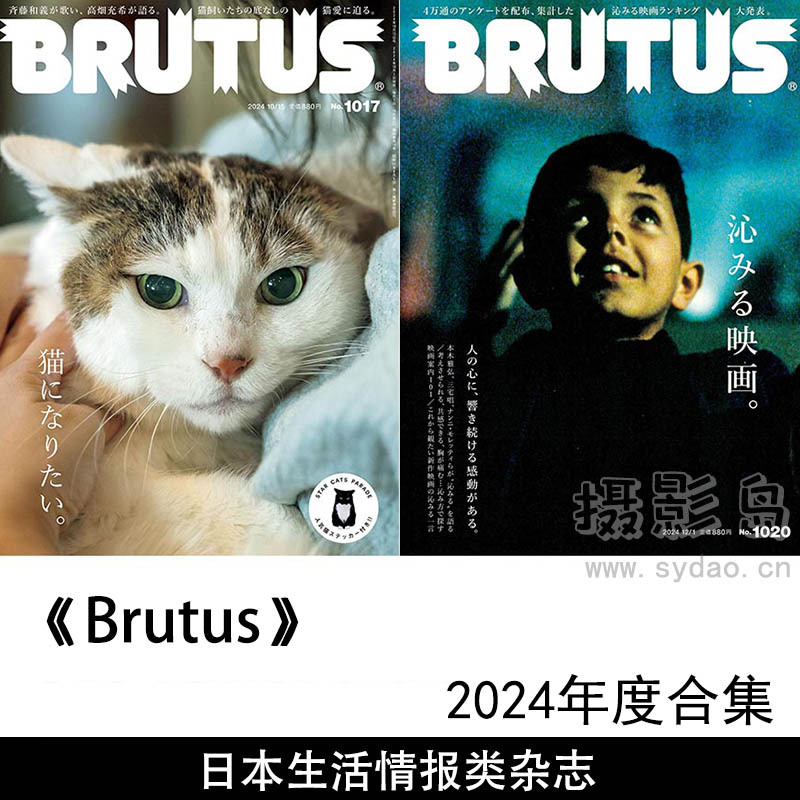 2024年度日本生活情报类杂志日文日杂《Brutus》全年杂志合集