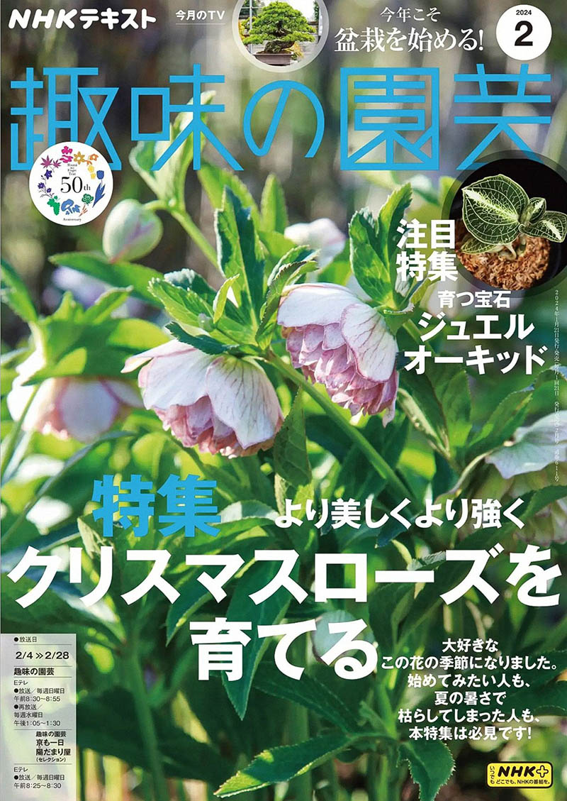 2024年度日本园林绿植园艺爱好者日杂《NHK(趣味の园芸)》全年杂志