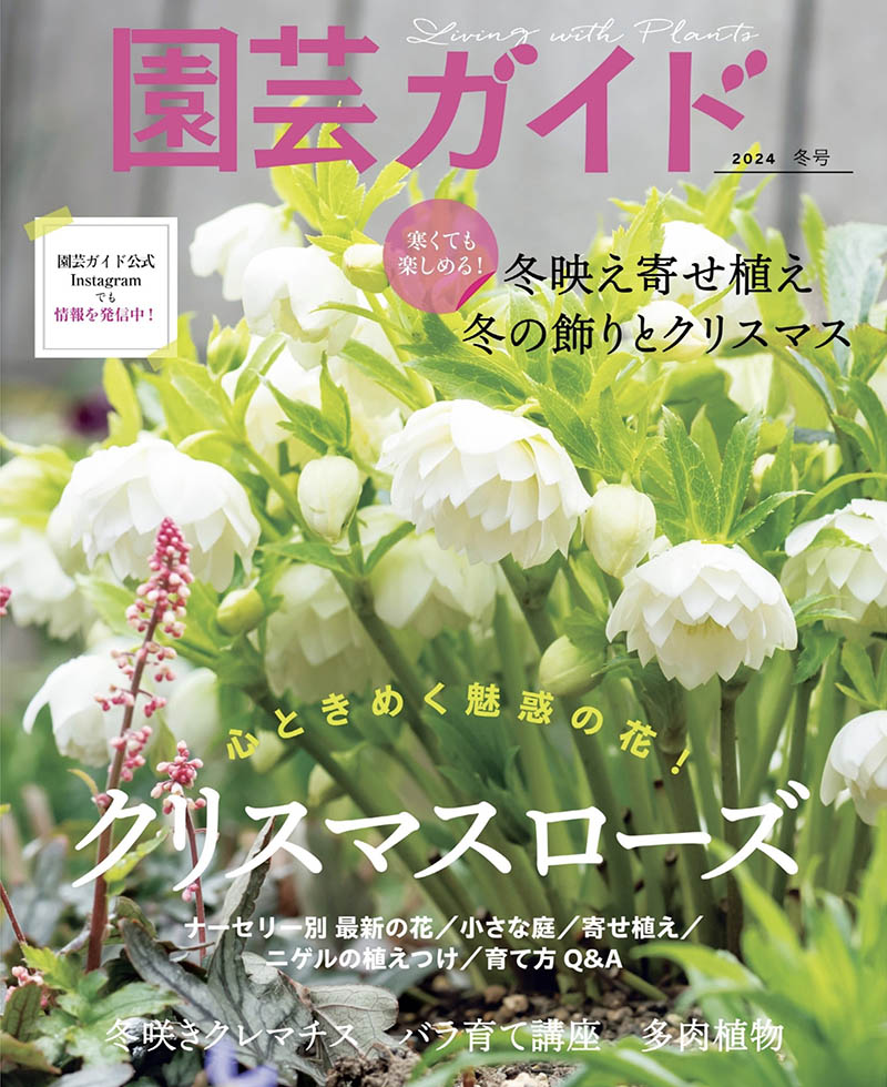 2024年度日本园林园艺种植日杂《園芸ガイド》全年杂志