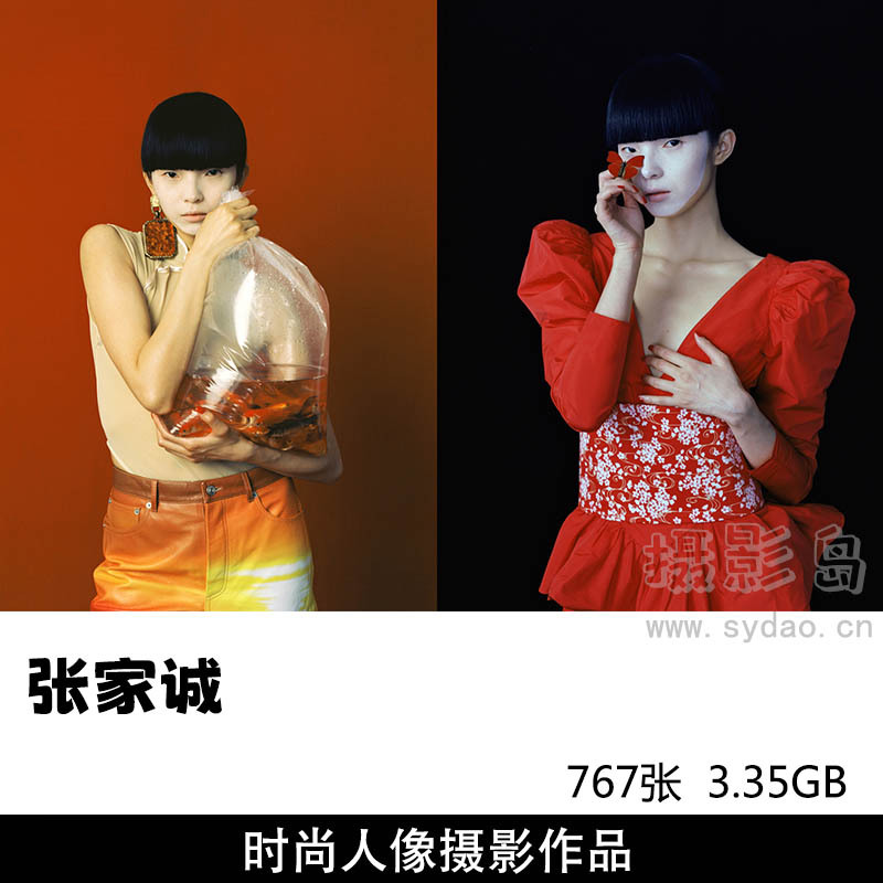 767张国内摄影师张家诚时尚大片商业人像肖像摄影作品欣赏参考素材