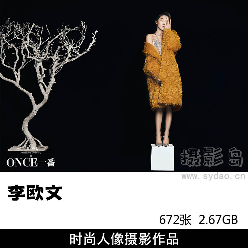 672张明星写真时尚广告摄影作品图集欣赏，国内摄影师李欧文人像作品素材