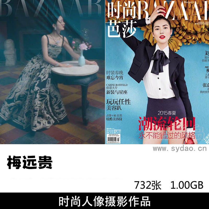 732张国内知名时尚摄影师梅远贵男女明星商业杂志封面内页写真图片图库