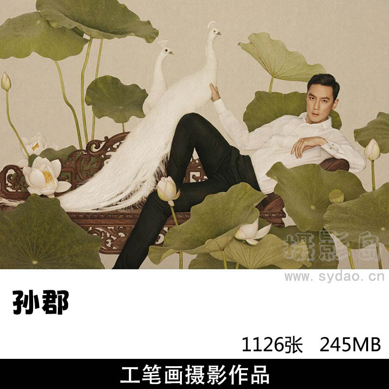 1126张中国风第一人孙郡古风明星工笔画摄影作品图集参考素材