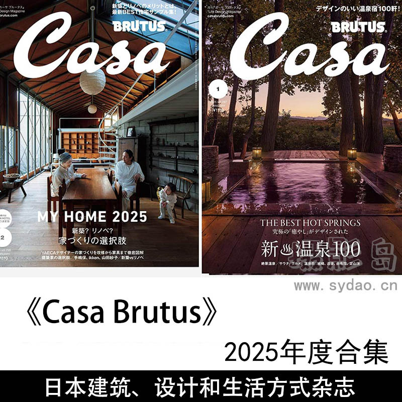 2025年度日本建筑、室内设计、家具、艺术、旅行等生活杂志《Casa Brutus》全年合集