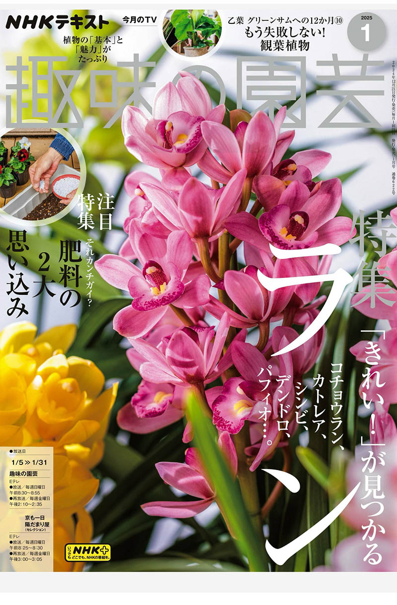 2025年度日本园艺知识、植物介绍、花园设计园艺杂志《NHK 趣味の園芸》