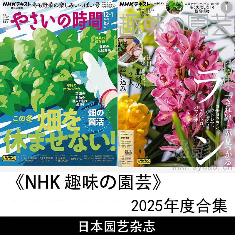 2025年度日本园艺知识、植物介绍、花园设计园艺杂志《NHK 趣味の園芸》全年合集