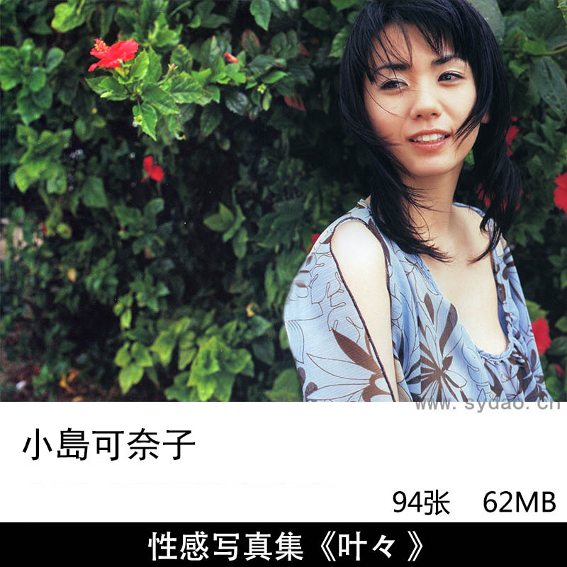 94张日本杂志模特小島可奈子/小岛可奈子性感写真集《叶々》