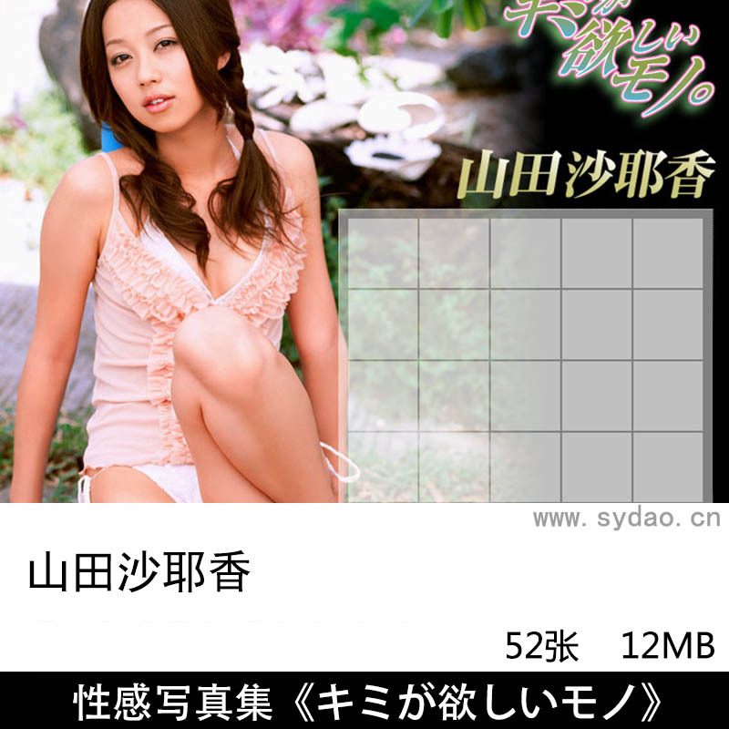 52张日本模特山田沙耶香完美身材精致脸蛋性感内衣写真集《キミが欲しいモノ》