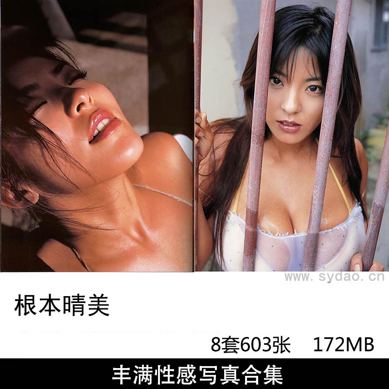 【合集】8套603张日本写真女星根本晴美丰满性感写真集《+3P》《103 センチメンタル》《Marvelous》等