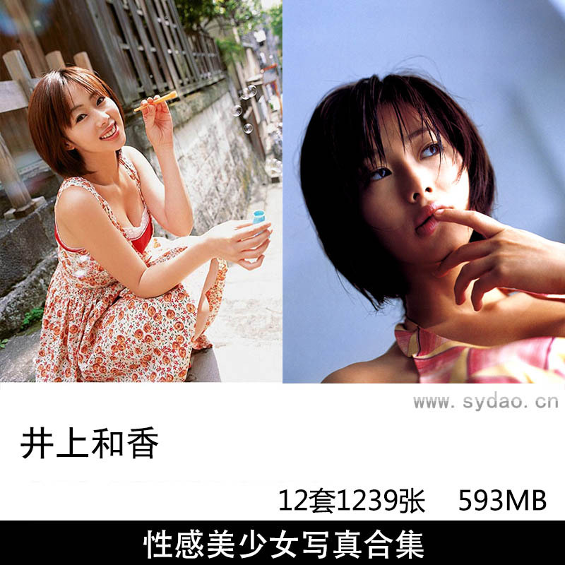 【合集】12套1239张日本女星模特井上和香性感泳装内衣写真集《WAKASHIBORI》《W》《ワカコレ》等