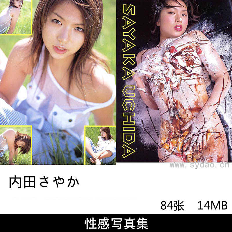 84张日本女星内田さやか性感写真集《生食》