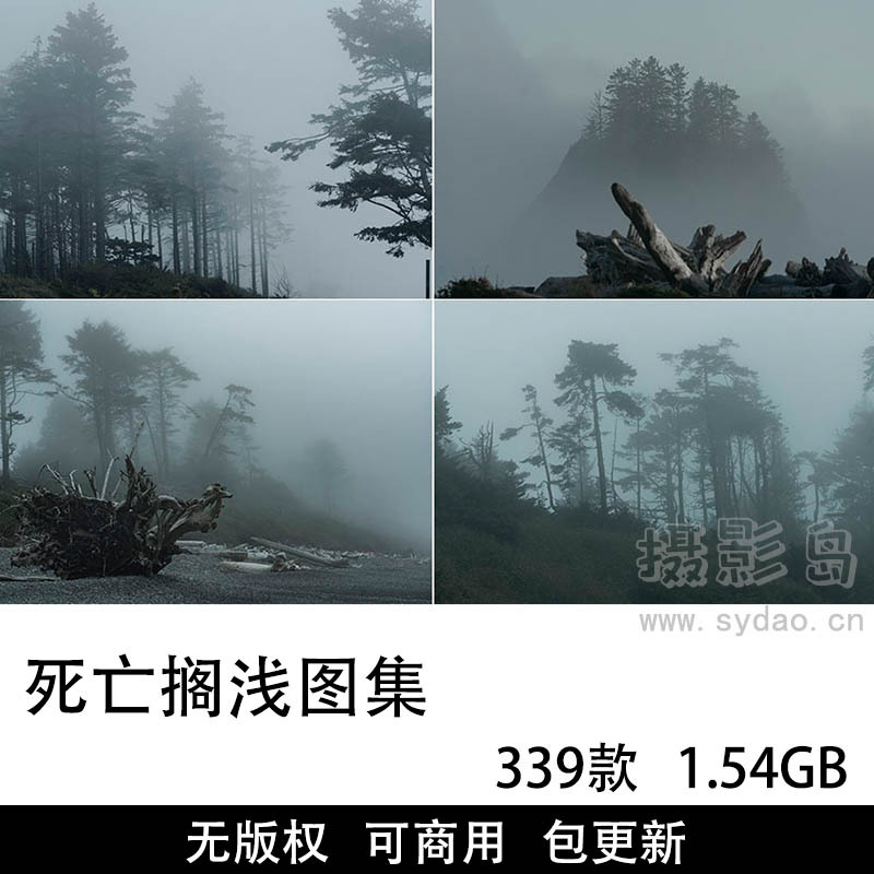 339张无版权死亡搁浅图片大全合集，高清枯木头枯树可商用图片素材图库