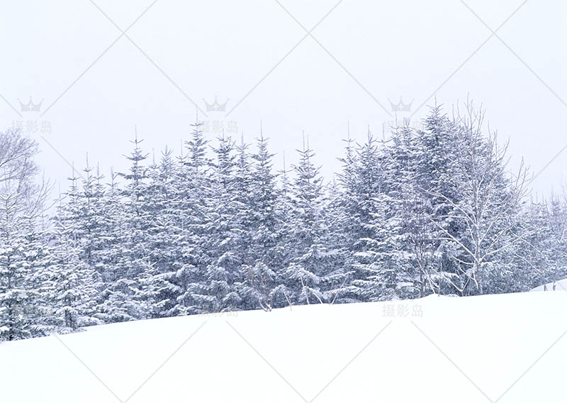 无版权北海道雪景图片大全合集，日本冬季北海道风光可商用图片素材图库