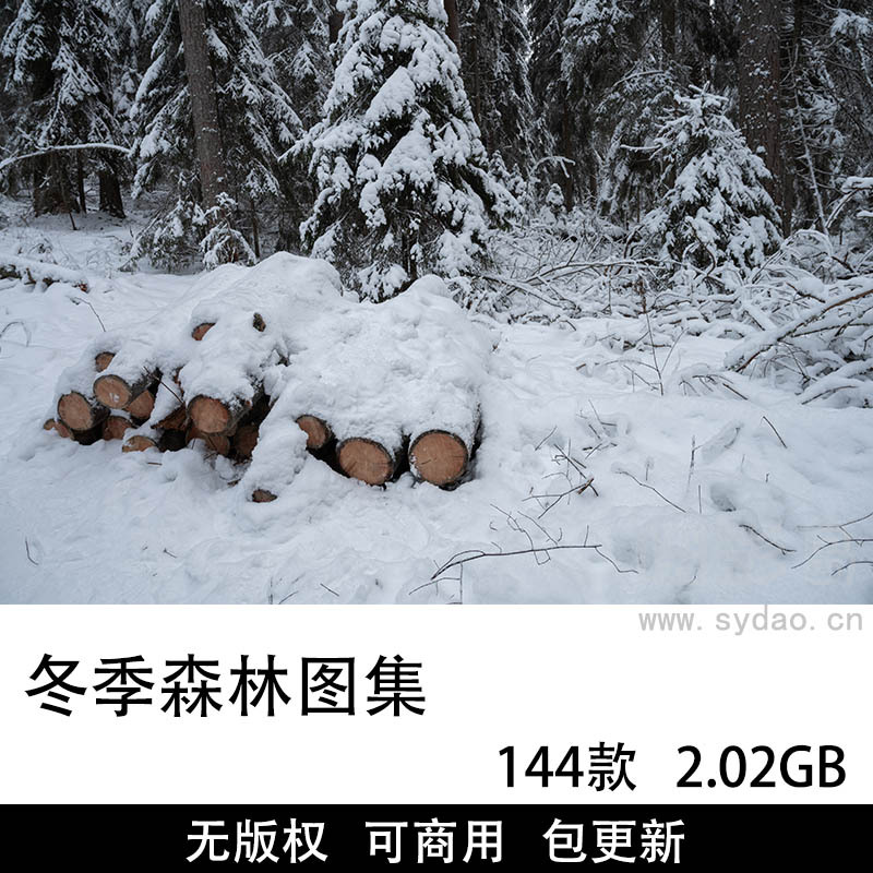 144张无版权冬季森林雪景图片大全合集，高清冬天森林雪地可商用图片素材图库