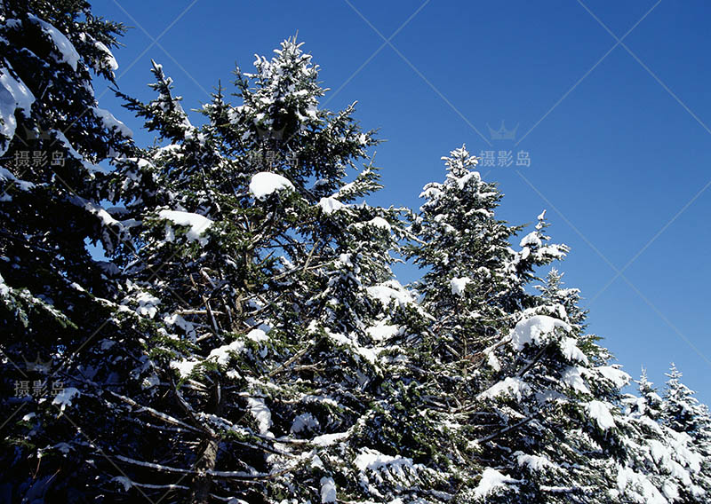 无版权北海道雪景图片大全合集，日本冬季北海道风光可商用图片素材图库