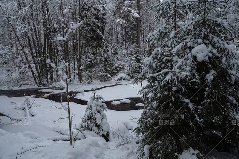 无版权冬季森林雪景图片大全合集，高清冬天森林雪地可商用图片素材图库