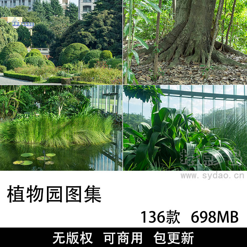 136张可商用无版权高清绿色春天植物园图片大全合集素材图库