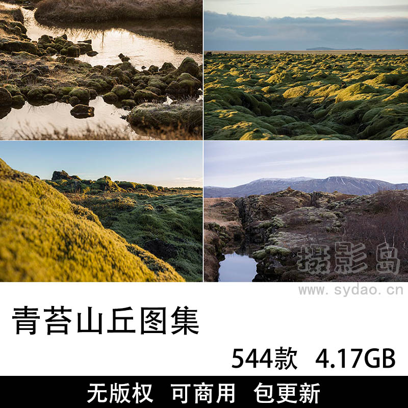 544张无版权青苔图片大全合集，可商用高清青苔山丘图片素材图库