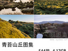 544张无版权青苔图片大全合集，可商用高清青苔山丘图片素材图库
