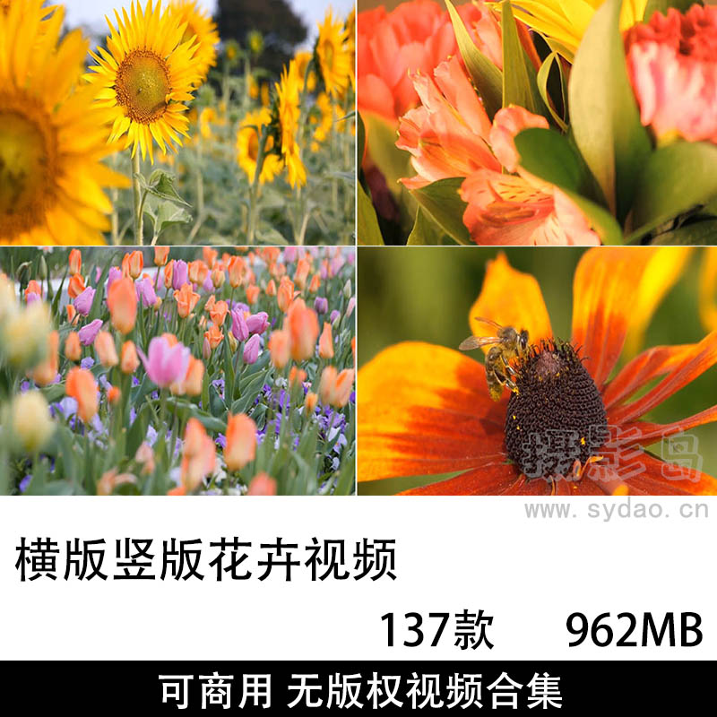 137款可商用无版权横版竖版花卉、花朵、花海视频大全剪辑视频素材合集