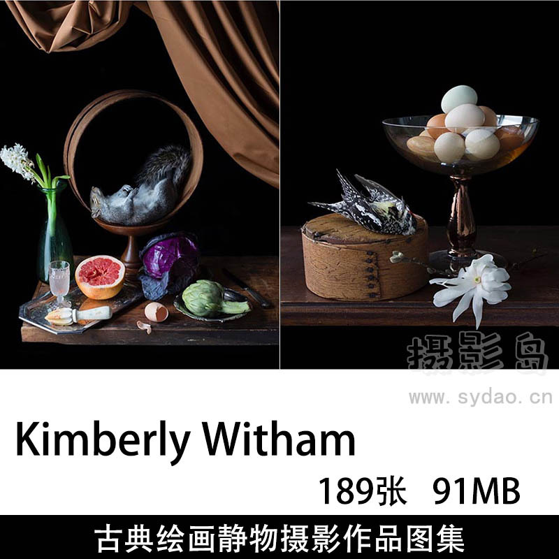 189张植物、水果、蔬菜、死亡动物古典绘画油画风格静物摄影作品欣赏，摄影师Kimberly Witham作品