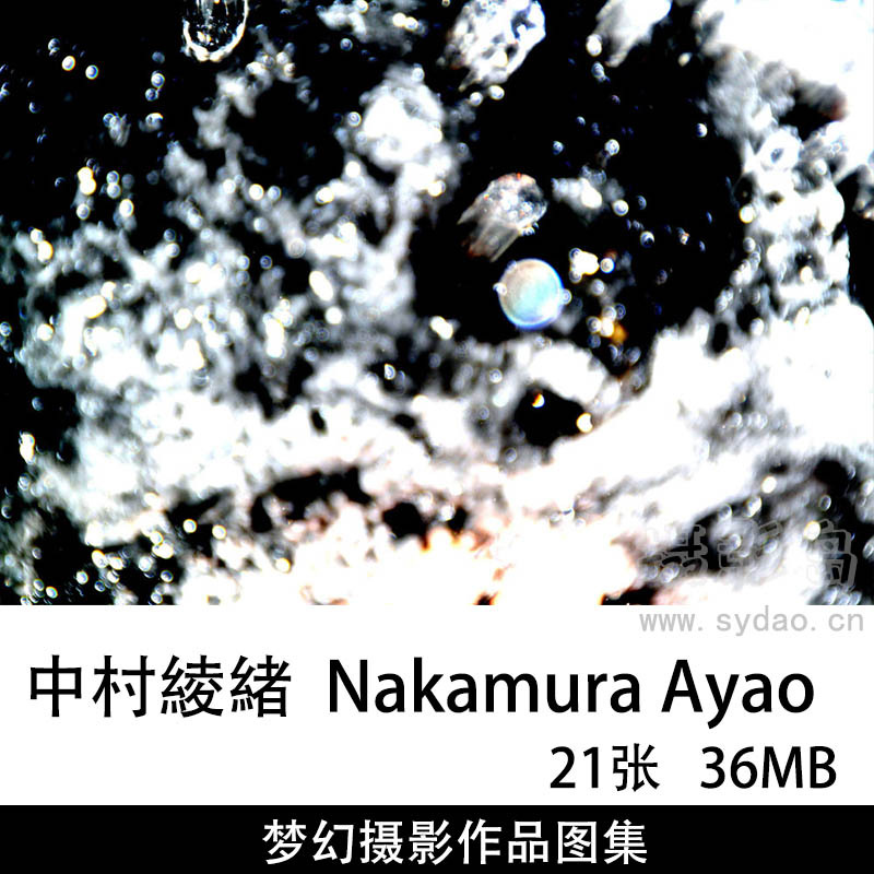 21张日本摄影师中村綾緒Nakamura Ayao梦幻风格摄影作品图片图集欣赏