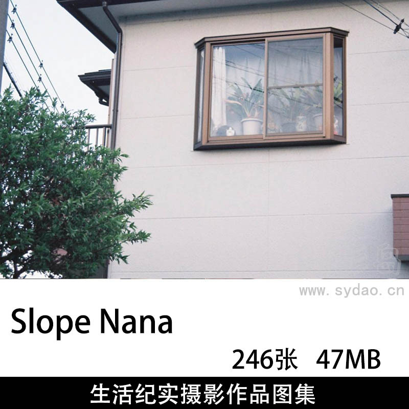 246张日本摄影师Slope Nana生活纪实胶片摄影作品图片审美提升素材