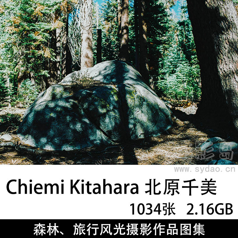 1034张旅行、森林风光摄影作品图片图集欣赏，摄影师Chiemi Kitahara 北原千美作品审美提升素材