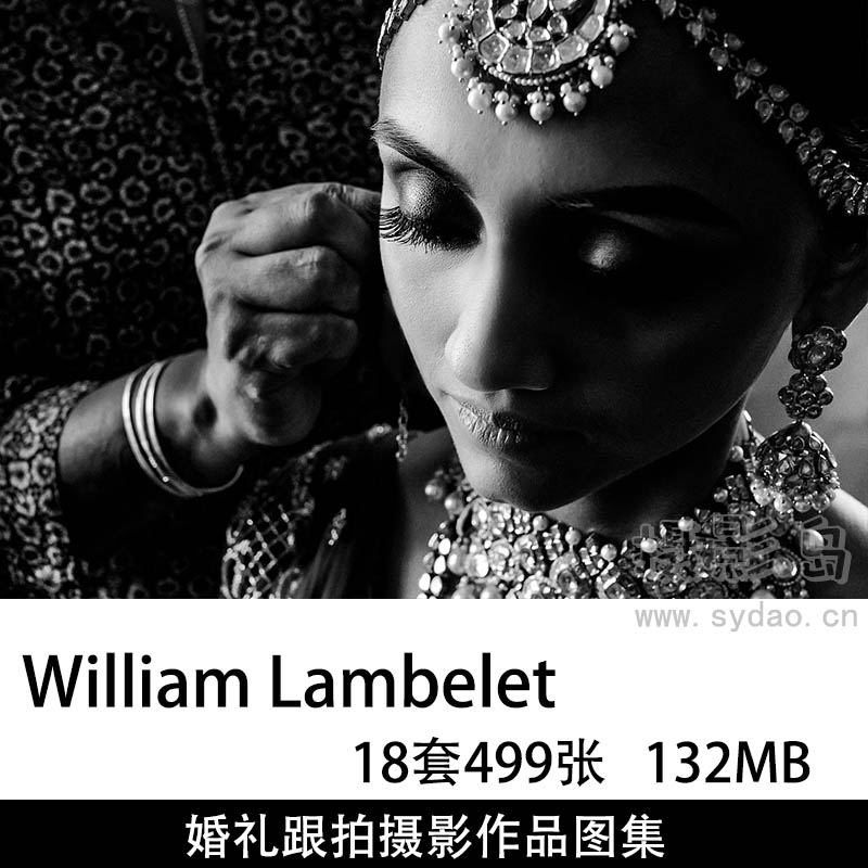 18套499张纪实婚礼记录跟拍摄影作品图片欣赏，婚礼摄影师William Lambelet作品审美提升素材