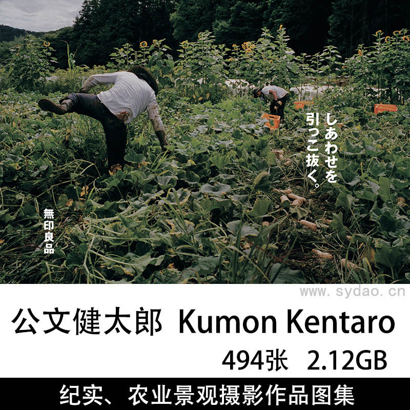 494张日本农业景观、人文纪实摄影作品图片图集欣赏，日本摄影师公文健太郎  Kumon Kentaro摄影审美提升素材