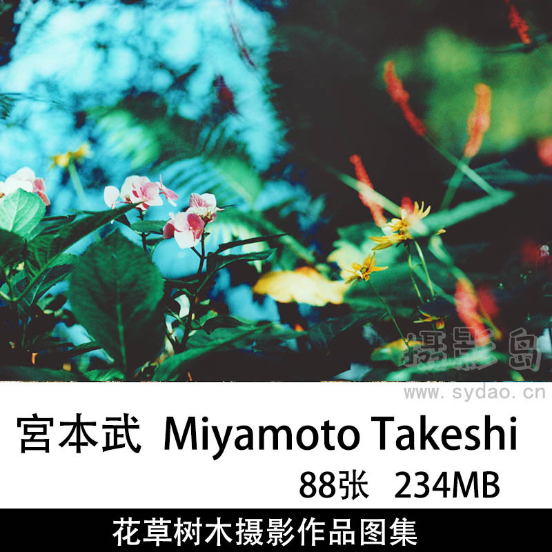 88张森林花草树木、身体摄影作品图片图集欣赏，日本摄影师土宮本武  Miyamoto Takeshi作品审美提升素材