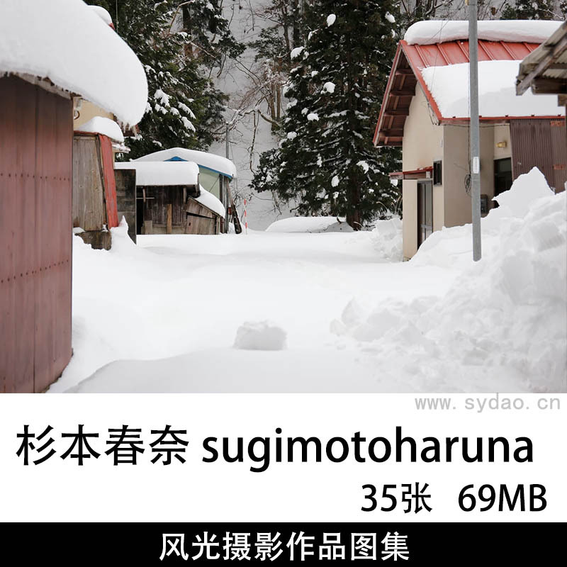35张森林风光摄影作品图片图集欣赏，日本摄影师杉本春奈 sugimotoharuna作品