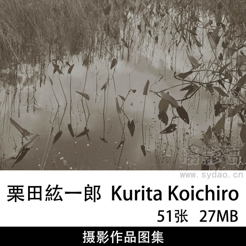 51张黑白自然景观摄影作品图片图集欣赏，日本摄影师栗田紘一郎  Kurita Koichiro作品
