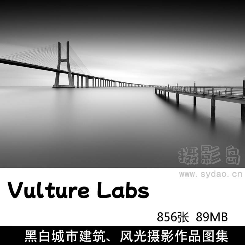 856张黑白城市建筑、桥梁、自然风光摄影作品图片图集欣赏，摄影机构Vulture Labs作品审美提升素材