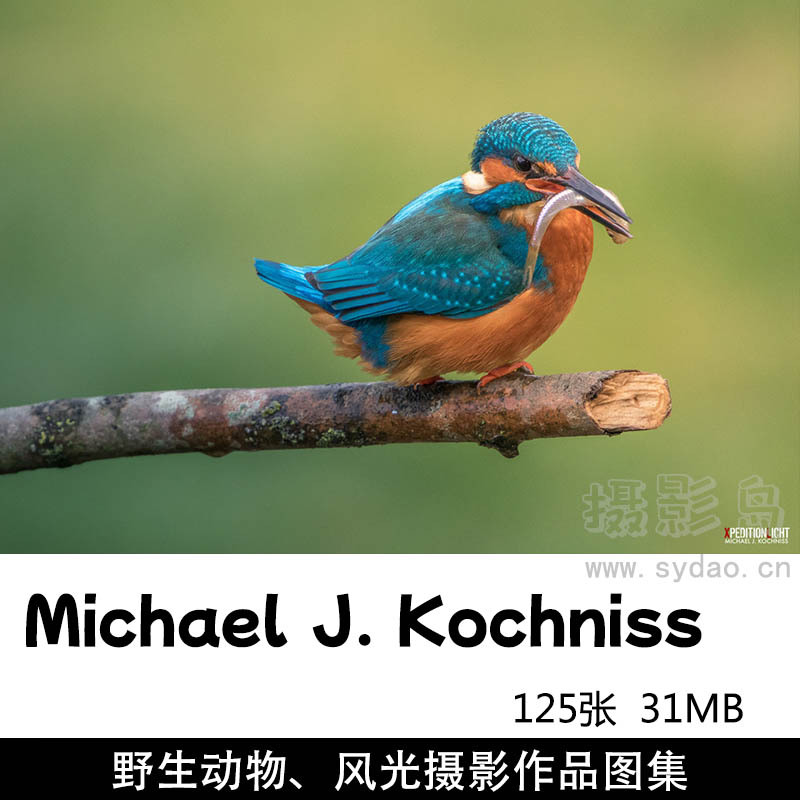 125张野生动物、山脉海景自然风景摄影作品图片图集欣赏，摄影师Michael J. Kochniss作品审美提升素材