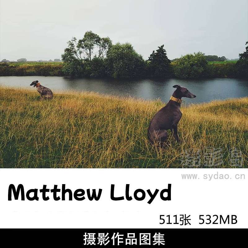511张静物广告、风光、胶片纪实家庭生活摄影作品图片欣赏，英国摄影师Matthew Lloyd作品审美提升素材